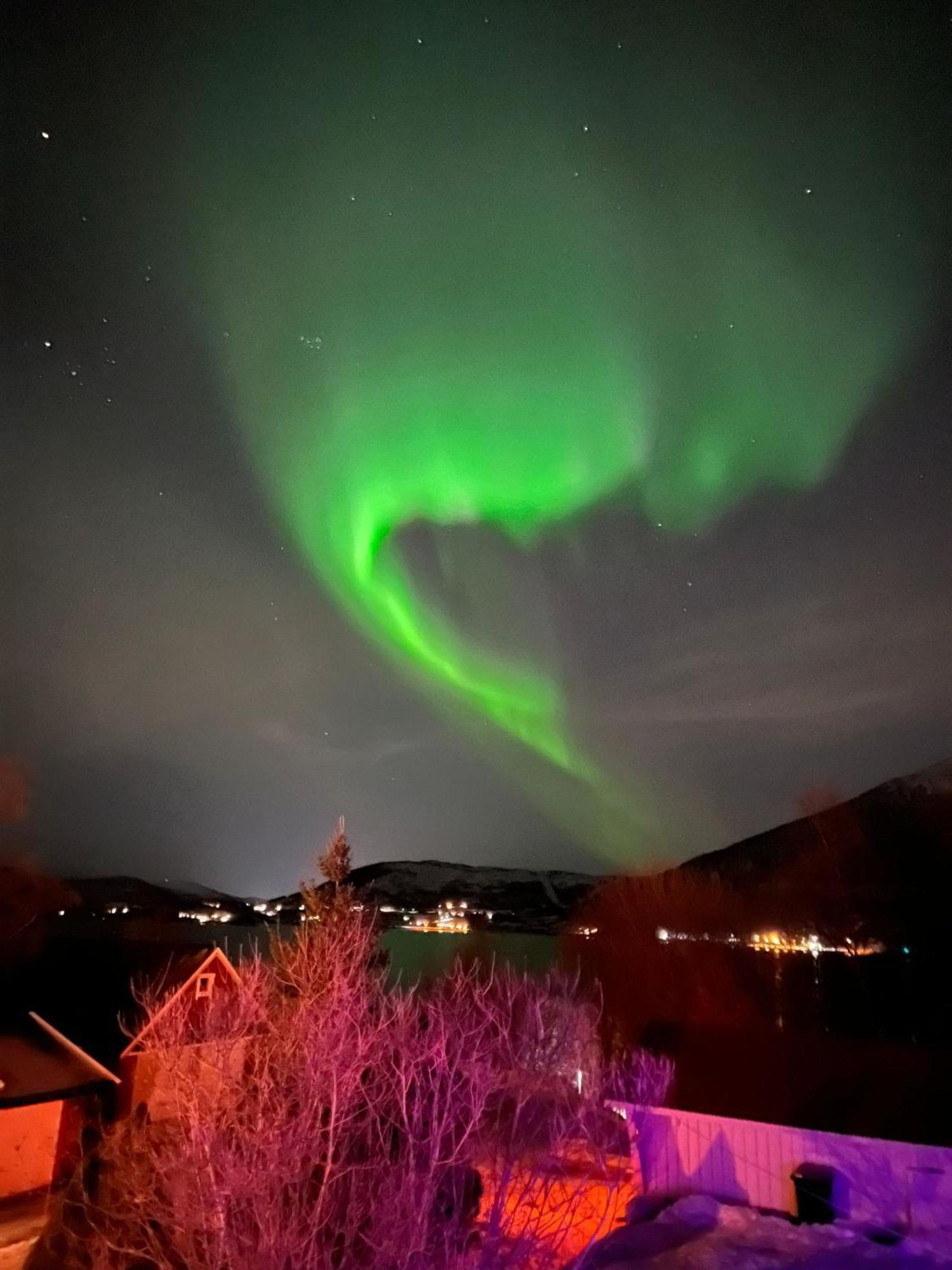 Evenes Artic Glamping